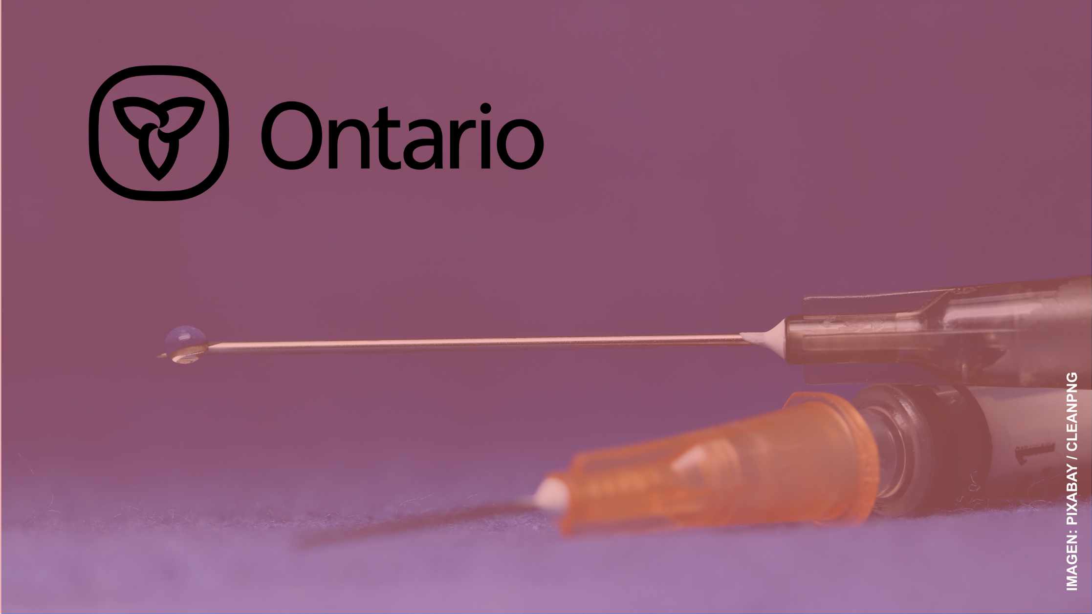 Voluntarios ayudan a encontrar vacunas en Ontario