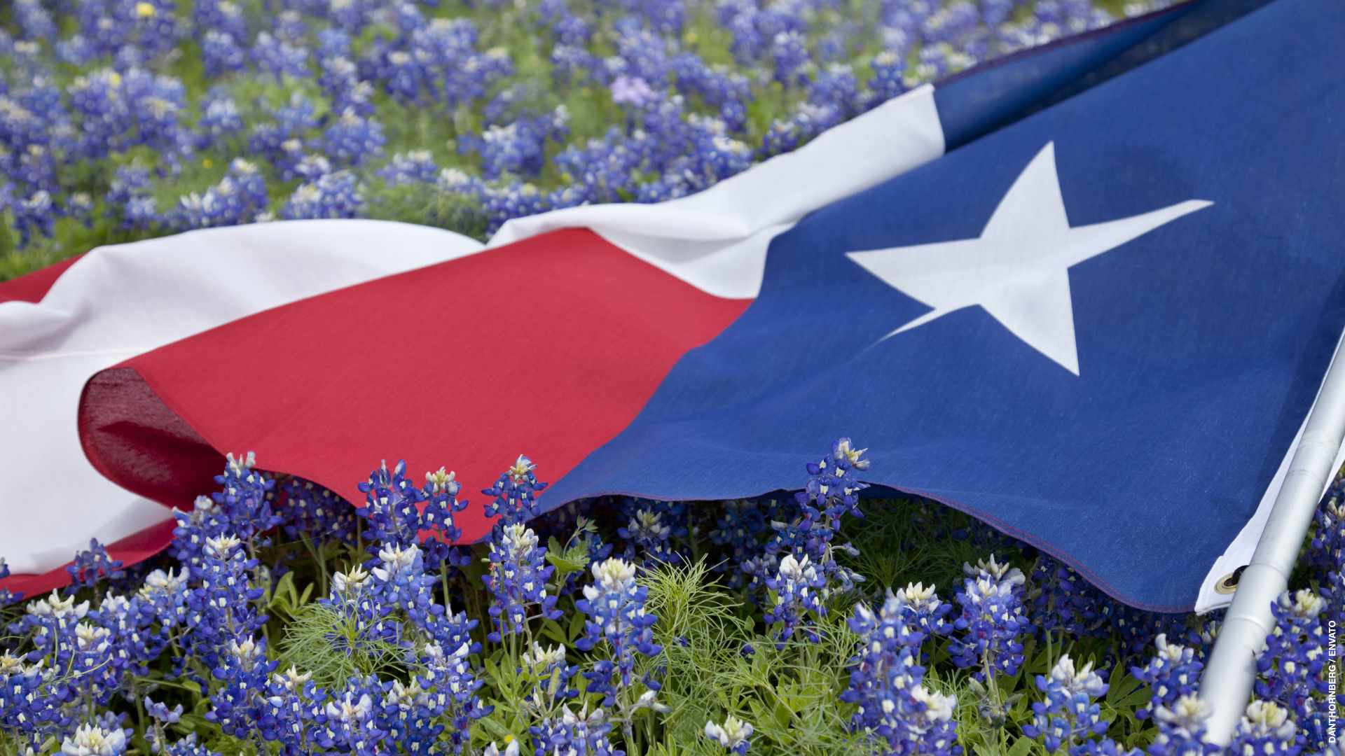 Policía de Texas admite que tardó en actuar en tiroteo