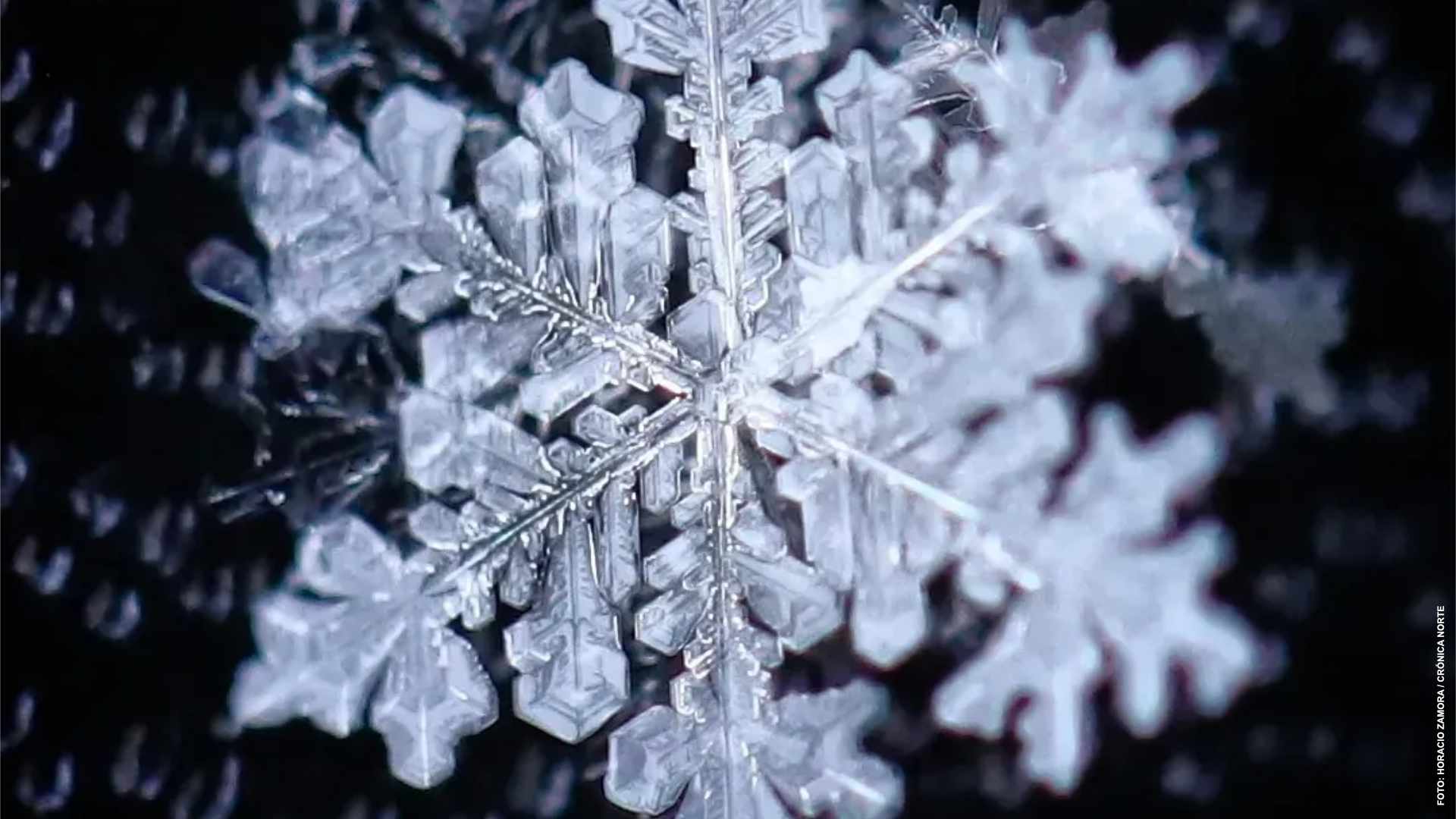 Copos de nieve, únicos e irrepetibles en la naturaleza