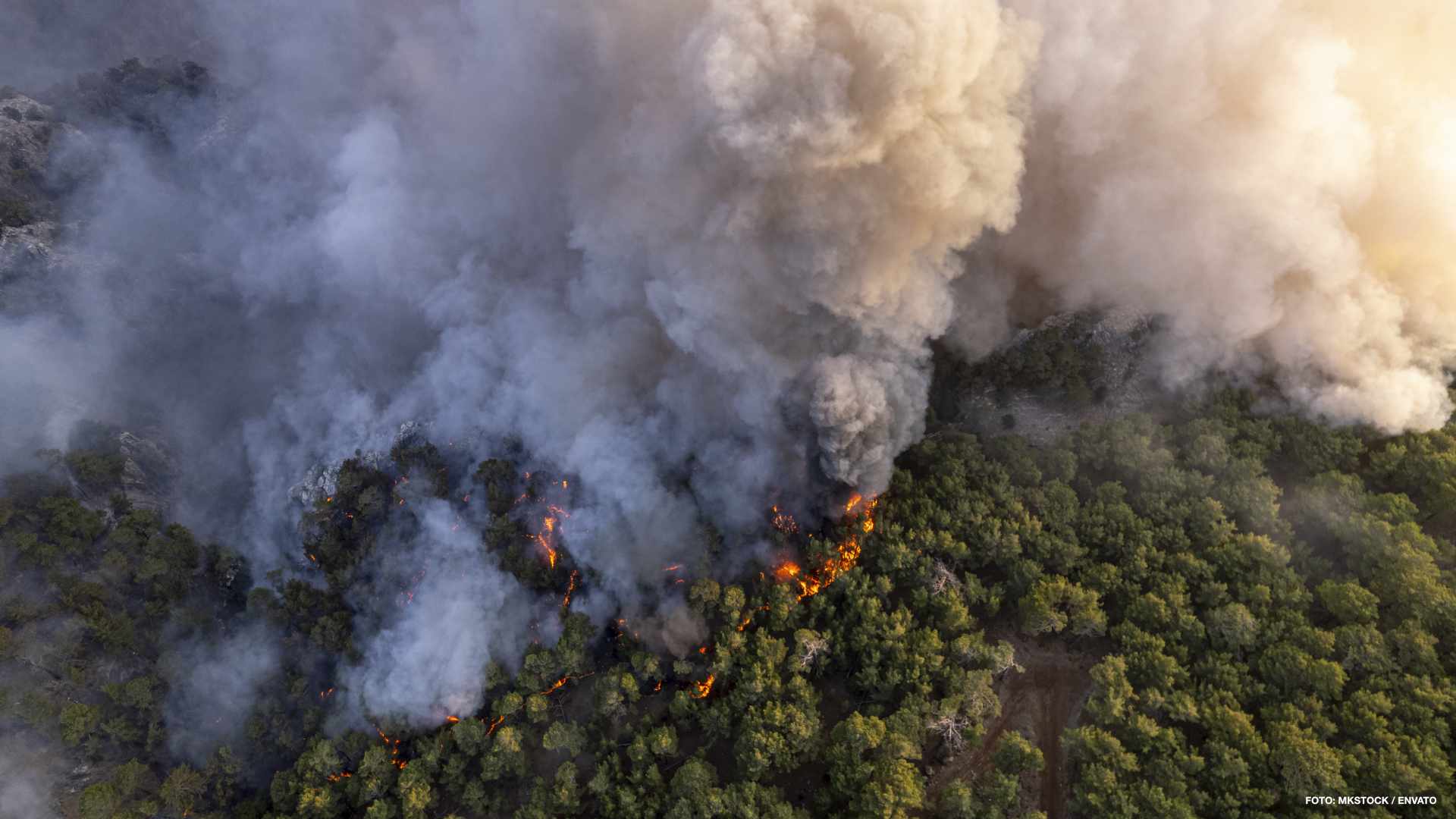 Movilización por incendios forestales en tres provincias