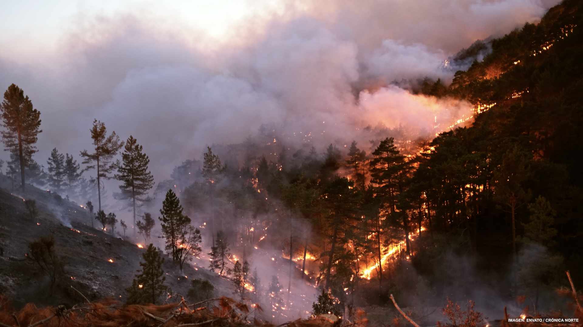 Incendios forestales no dan tregua a Canadá