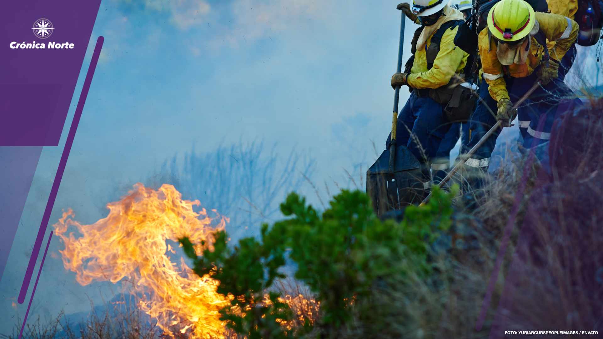 Where theres smoke, theres fire and fire fighters. Shot of fire fighters combating a wild fire