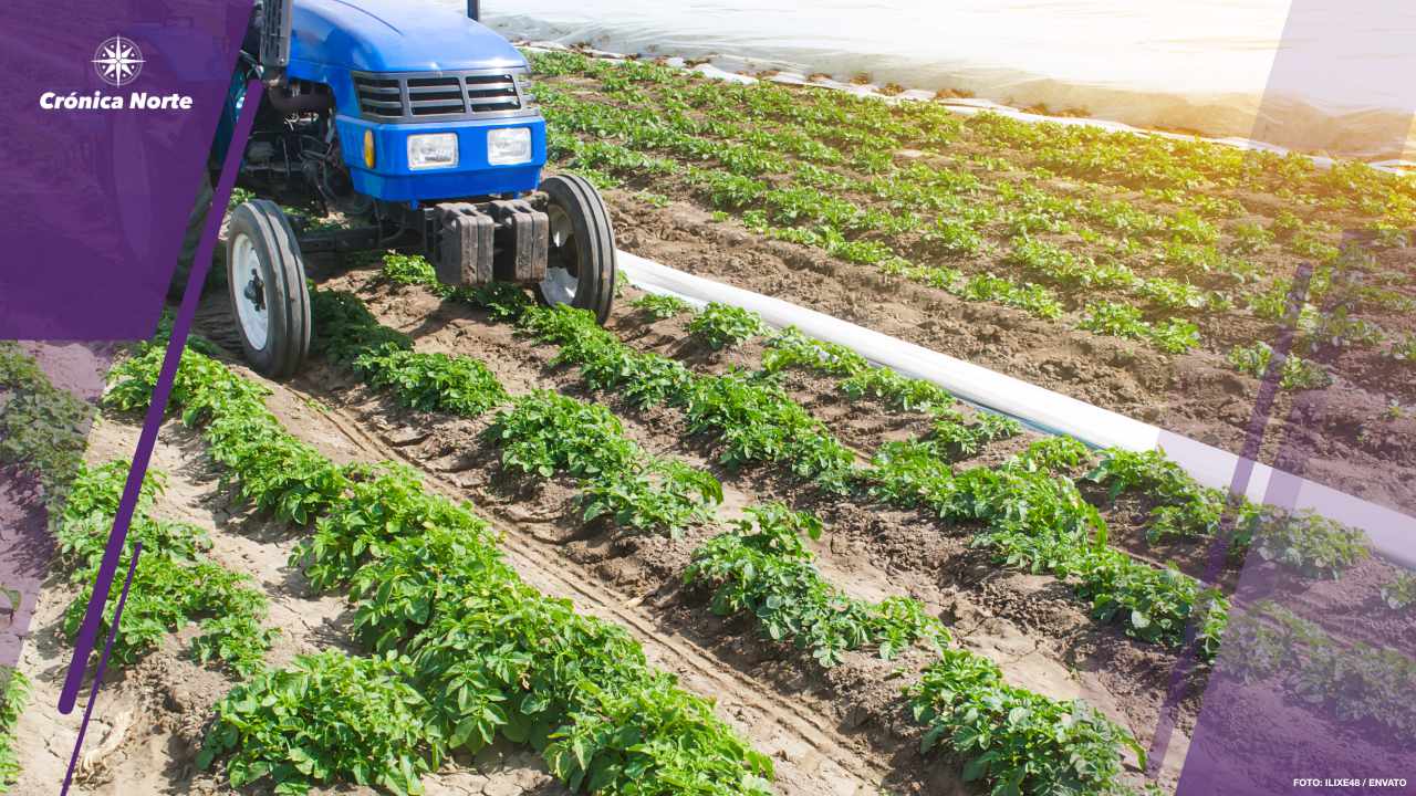 Quebec no protege sus tierras agrícolas, señala un informe